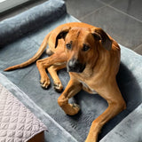 Ersatzbezug XXL für Hundebett 126754 Ersatzüberzug Wechselbezug Stoffbezug