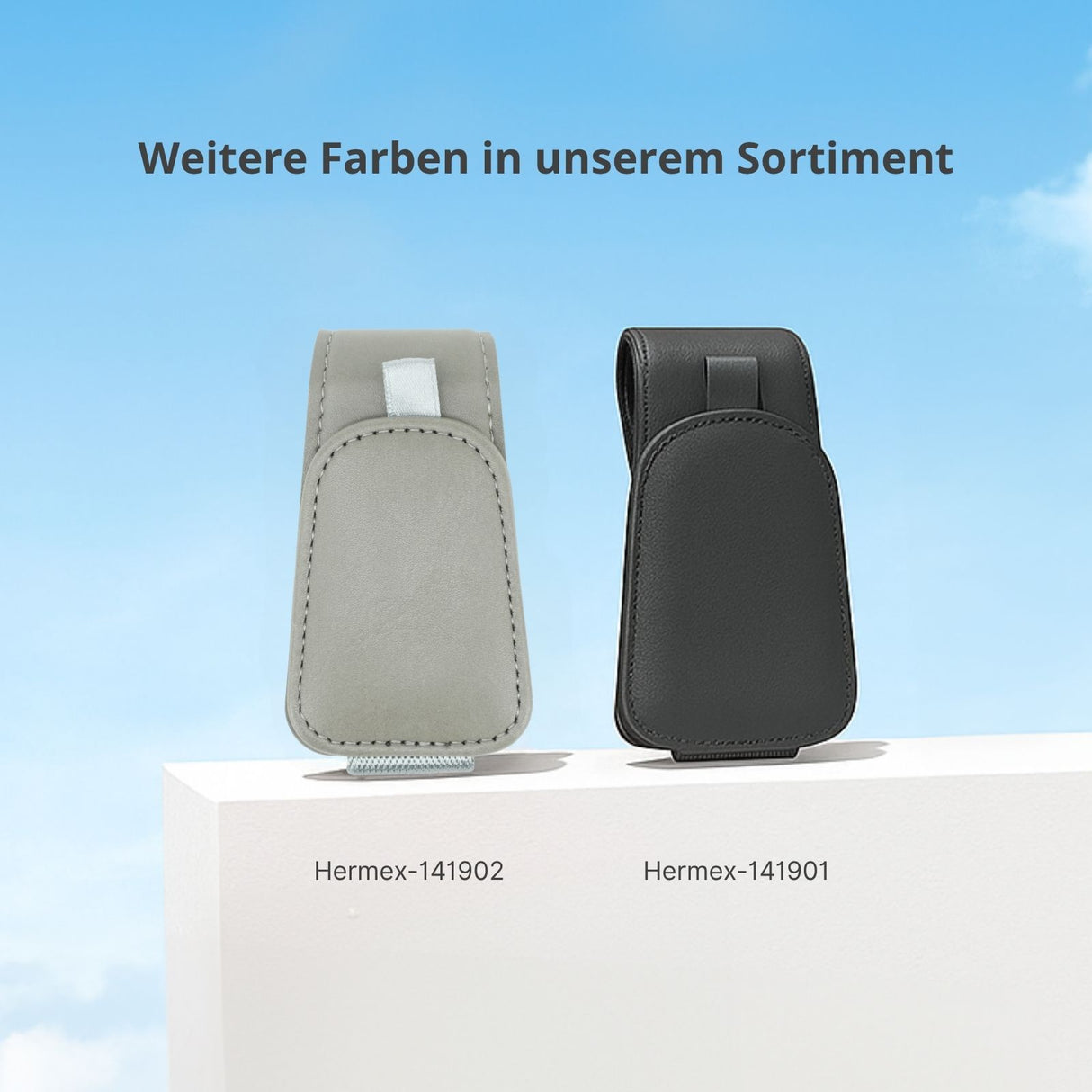 Brillenablage fürs Auto Sonnenbrillenhalter Sonnenblende-Clip Etui