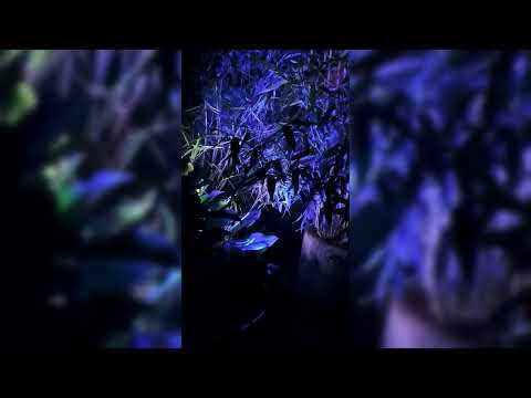 LED Solar Gartenstrahler Gartenscheinwerfer Aussenbeleuchtung