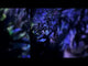 LED Solar Gartenstrahler Gartenscheinwerfer Aussenbeleuchtung