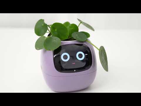 Elektronischer Blumentopf Smarter Blumentopf USB-Pflanzenübertopf Smart Plant Pot Ivy Smart Planter
