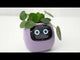 Elektronischer Blumentopf Smarter Blumentopf USB-Pflanzenübertopf Smart Plant Pot Ivy Smart Planter