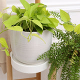 Blumenständer Pflanzen Ständer Regal Halter Treppe Gestell Blumentisch